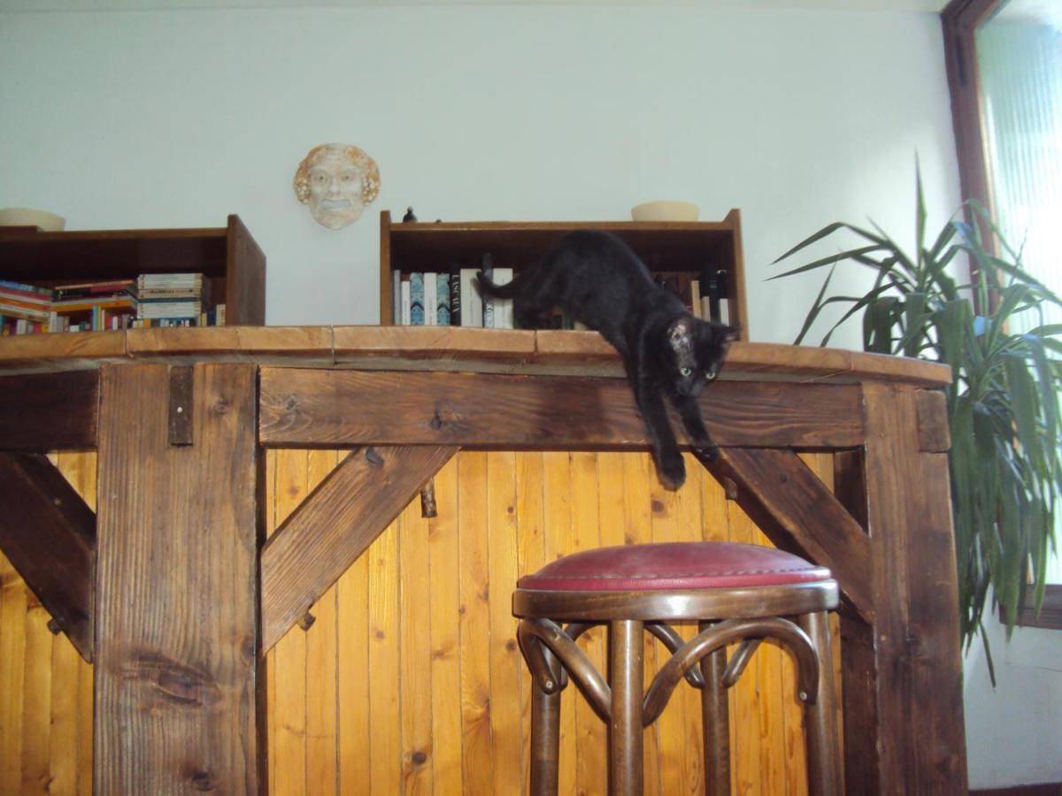 Bed and Breakfast El gato negro Montignac-Lascaux Exterior foto